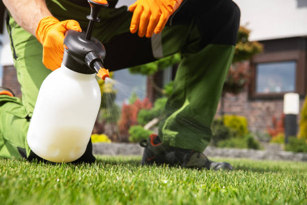 Best Seasonal Pest Control  in Baden, PA